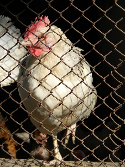 可能需要采 可能需要采