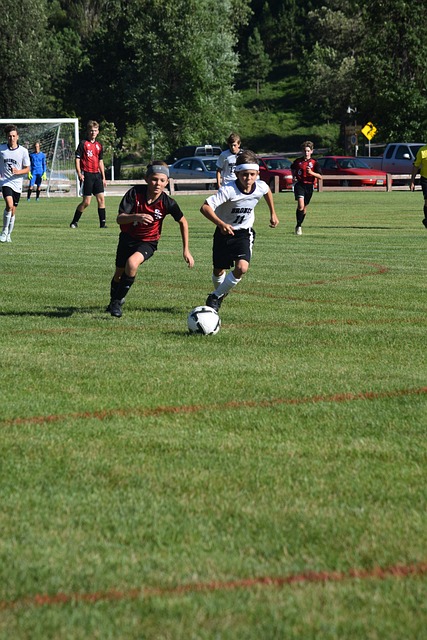 凭借自己的 凭借自己的