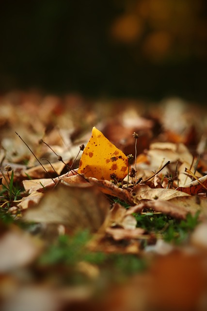 能够迅速转 能够迅速转
