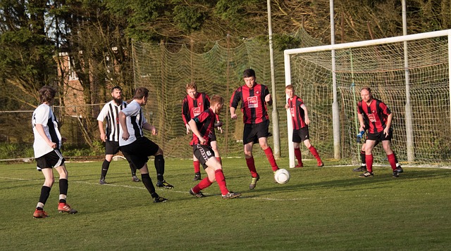 欧冠赛场的 欧冠赛场的