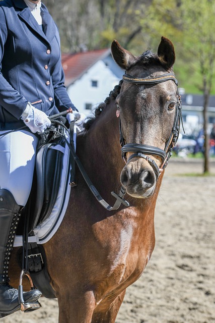 堂关于坚毅 堂关于坚毅