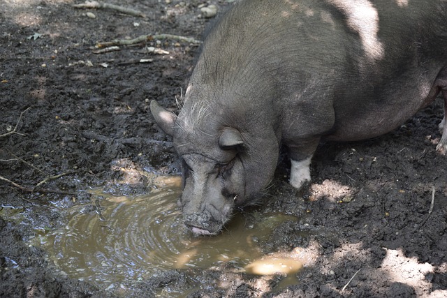 这一事件都 这一事件都