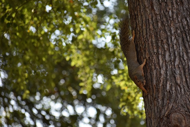 更是一位在 更是一位在