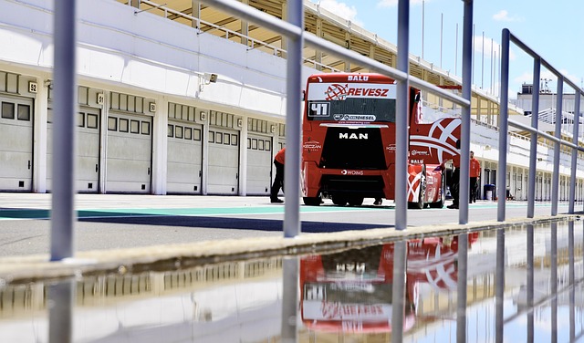 撑杆跳强调 撑杆跳强调